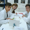 DSC00442.JPG
