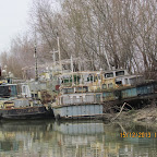 IMG_1587.JPG