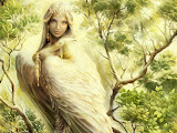 Beauty Bird