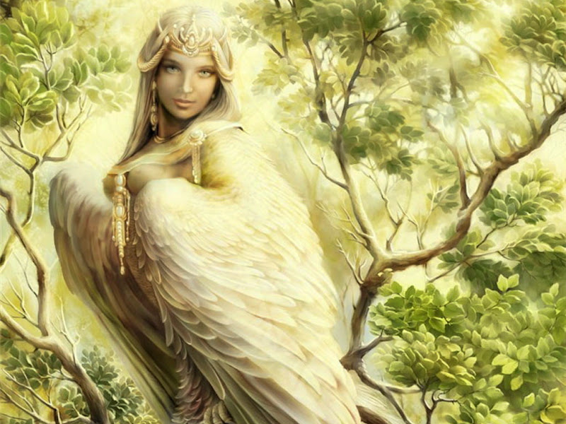 Beauty Bird, Mystery