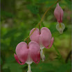 DSC01652.jpg