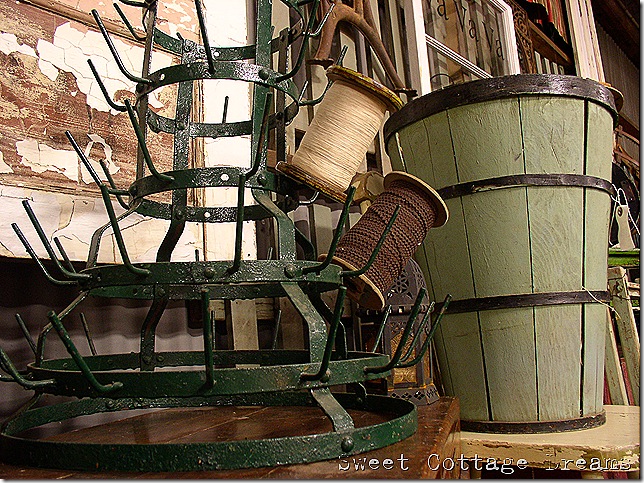 P1010086s P1010086s