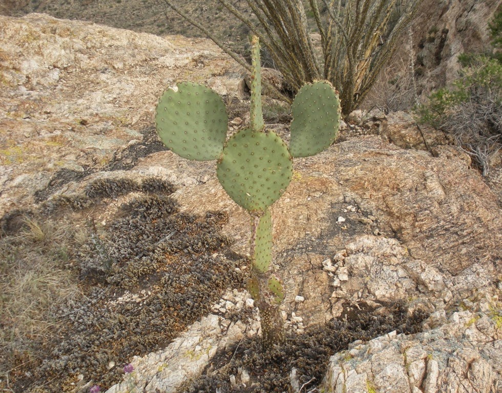 [DSCN2233%255B4%255D.jpg]