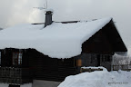 IMG_7966.JPG