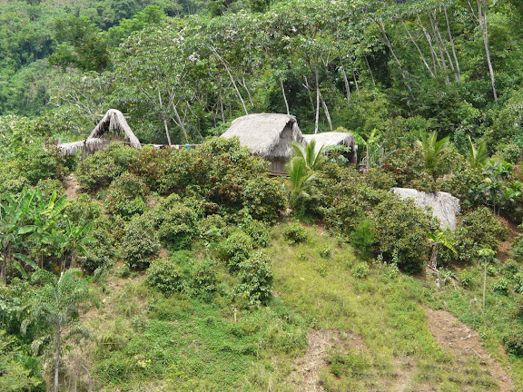 Comunidad Santa Rosa, Rio Zongo (alt. 600 m). Bolivie, 17 janvier 2008. Photo : J. F. Christensen
