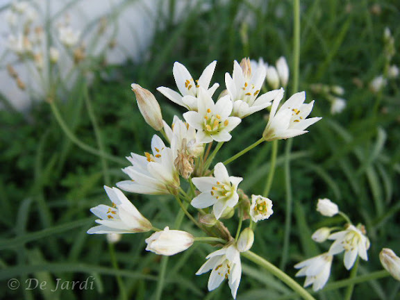 2012_10280005.jpg