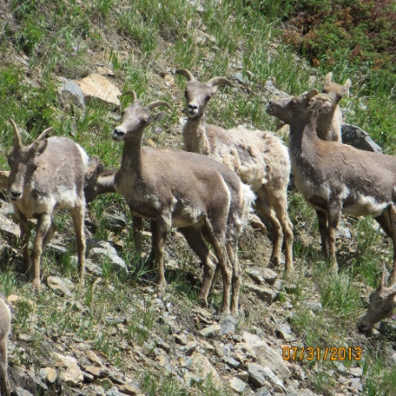 IMG_0791.jpg IMG 0791