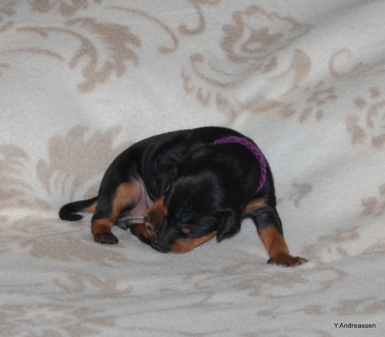 [DSC_4779%255B3%255D.jpg]