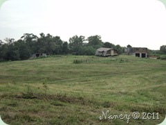 DSC03027