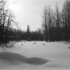 2011-snejinka-18.jpg