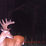 ICAM0017.JPG