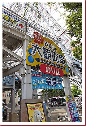 IMG_4855 IMG_4855