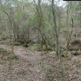 StreamPano2.jpg