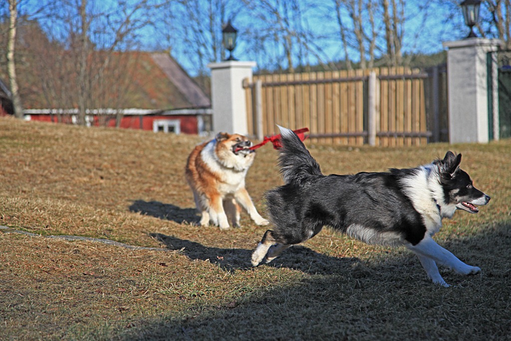 [01mar2012_P%25C3%25A5%2520hytta%2520og%2520hjemme_8593%255B5%255D.jpg]