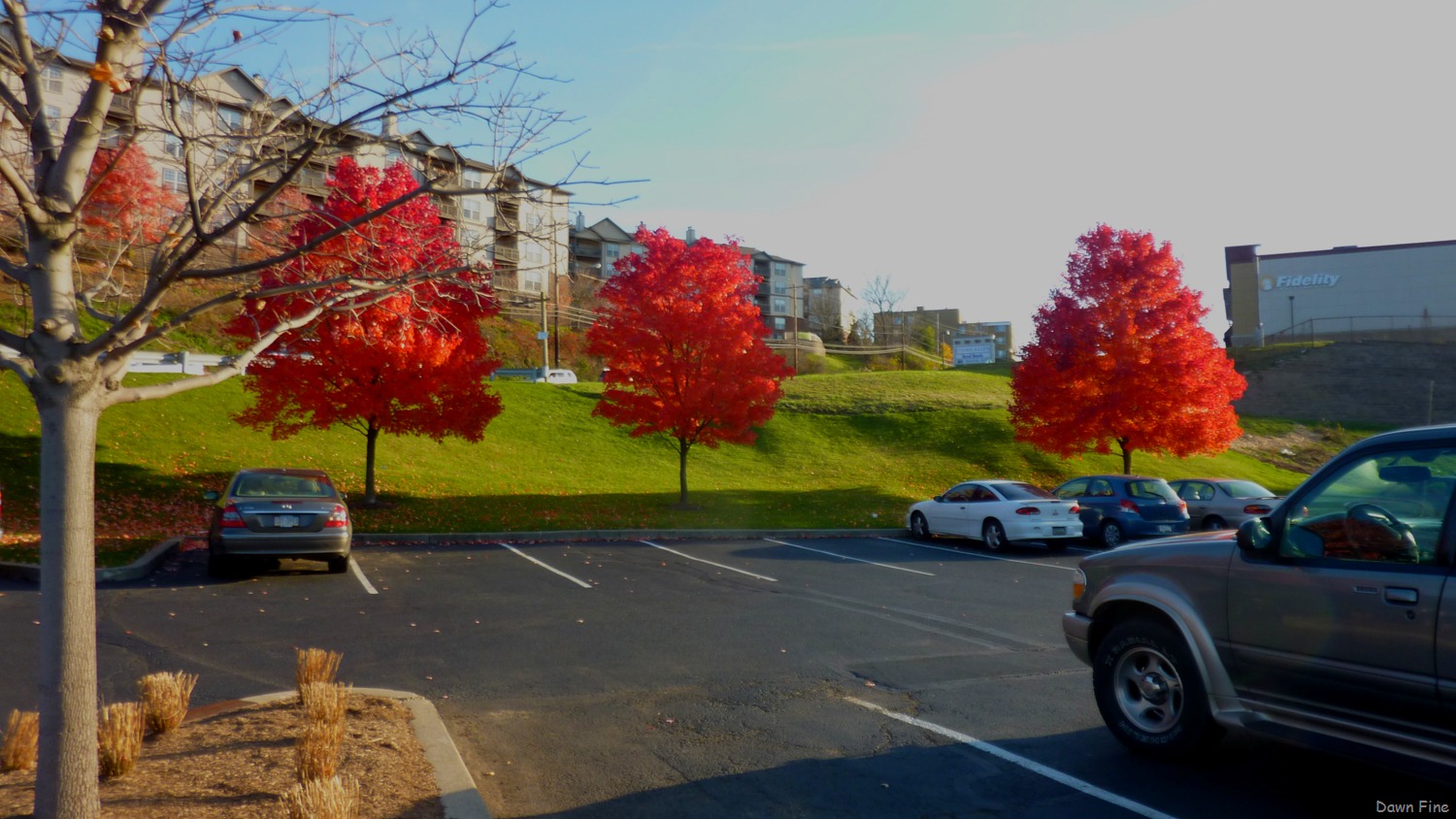 [Pittsburgh_010.jpg]