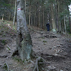 DSC00718.JPG