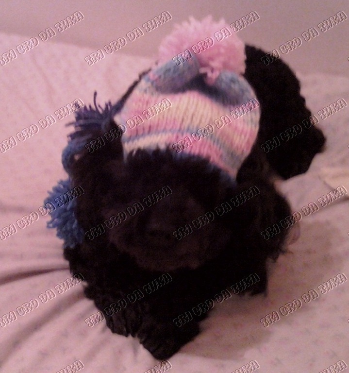 [155%255B11%255D.jpg]