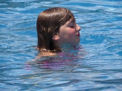 IMG_0779 IMG_0779