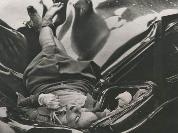 Evelyn McHale Evelyn McHale