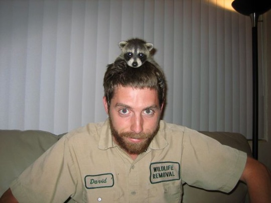 [viral-picdump-pics-8%255B2%255D.jpg]