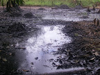 The impacts of an oil spill in Block 1-AB near the community of Nueva Jerusalem