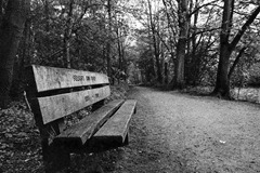 Hartsholme-Memorial-Bench