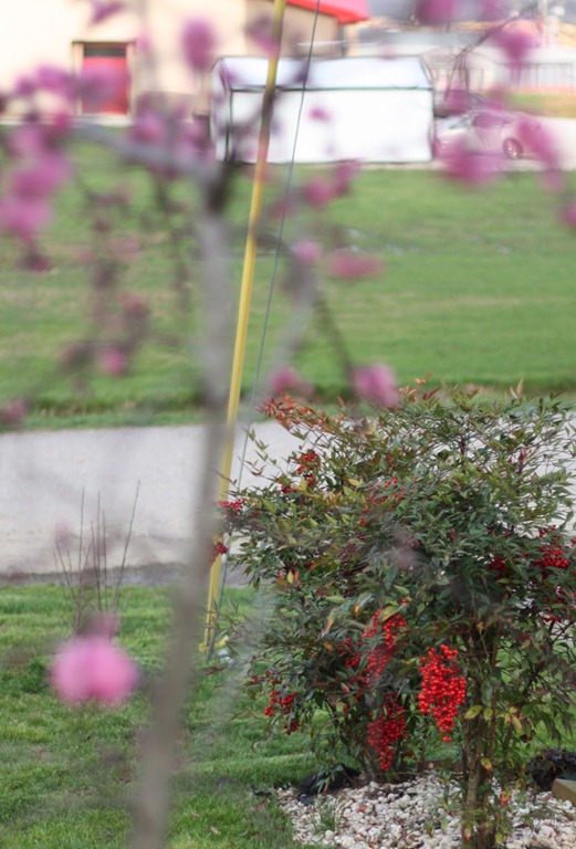 [spring%25202012%25201590154%255B6%255D.jpg]