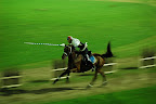 http://lh6.ggpht.com/-yuW9CY_9IGI/Rzv_20EHUVI/AAAAAAAAAB8/TNiO6pjOc7g/s144/15.JPG