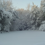Backyard snow.jpg