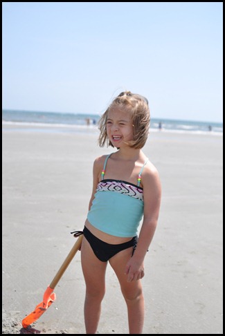 DSC_0517 DSC_0517