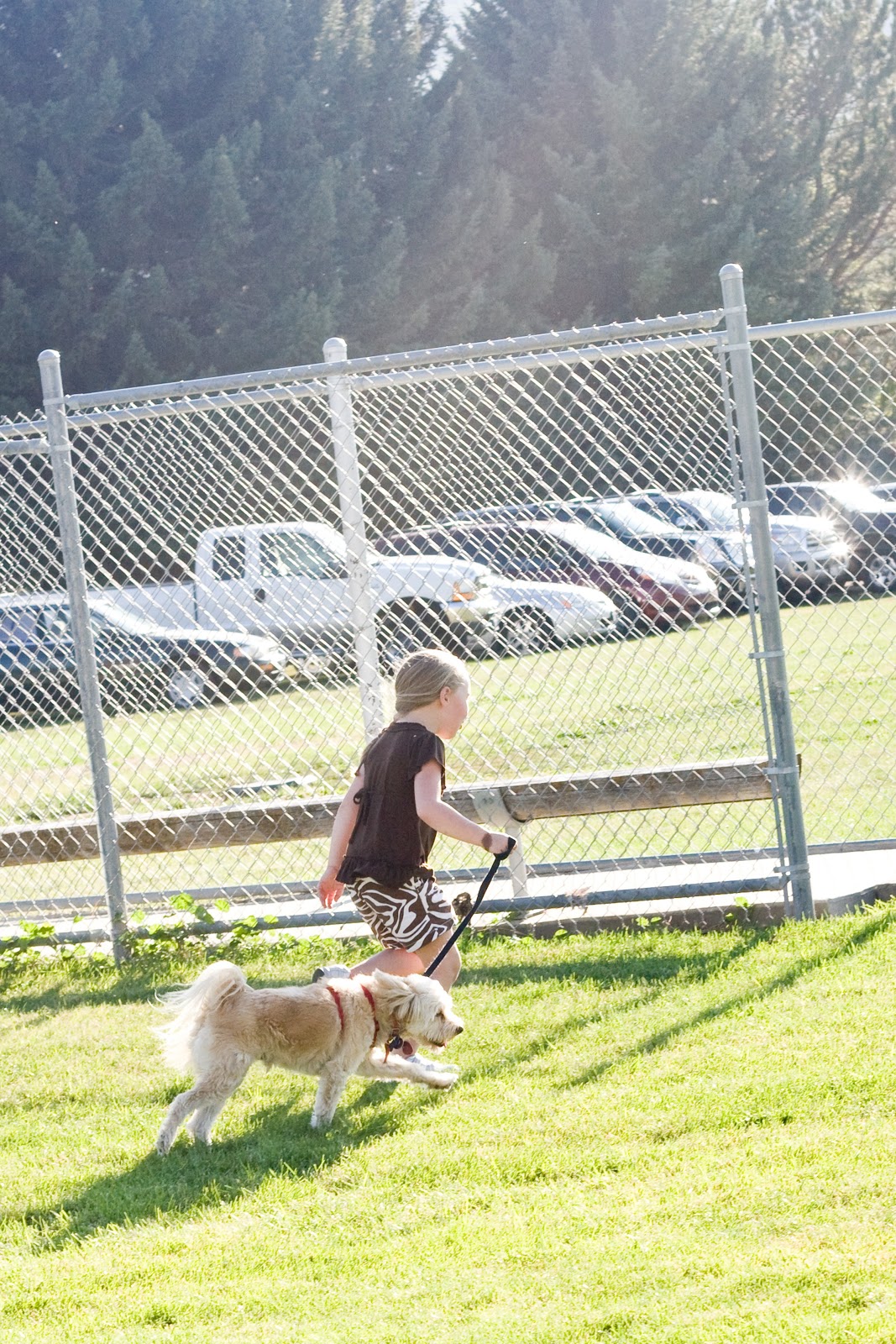 [quincy%2520reunion%25209.4.2012%2520-%2520soph%2520dog%255B3%255D.jpg]
