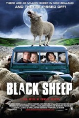 07-blacksheep