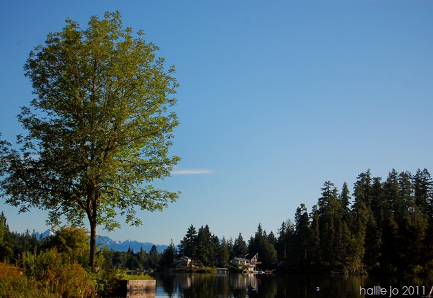 Lake3 Lake3