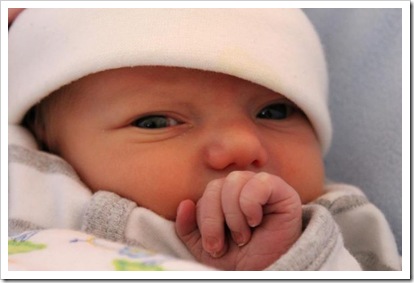 Maxie Bear_1 week