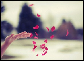 tumblr_lg4dl25doF1qefyomo1_400 tumblr_lg4dl25doF1qefyomo1_400