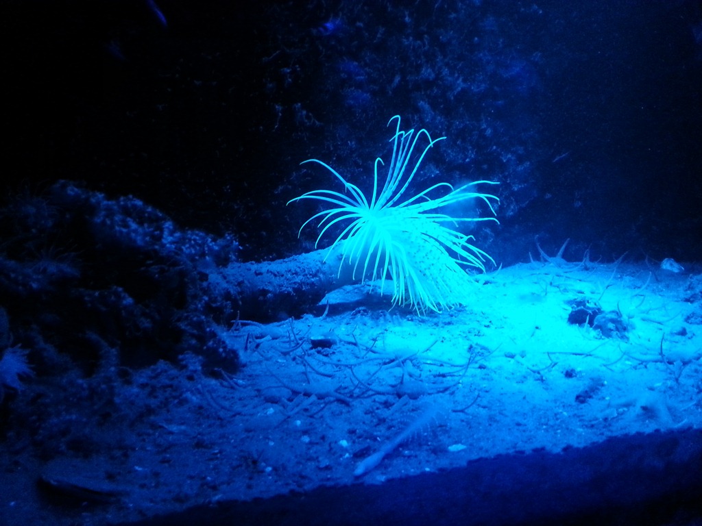 [2013-02-03%252011.54.59%255B6%255D.jpg]