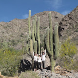 Les cardon (cactus géants) vivent entre 1200 et 3000m daltitude