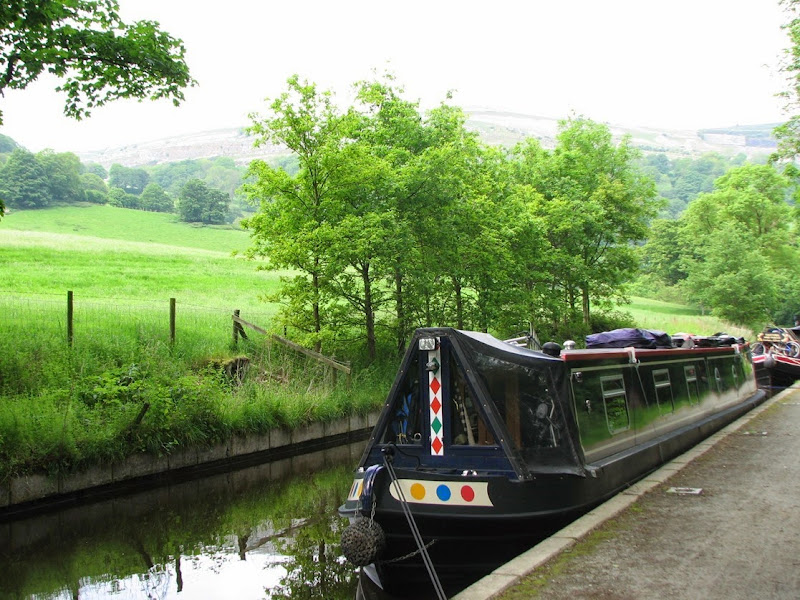 pontycyste 29 -05-1014 020