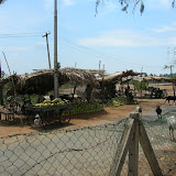 DSCN1193.JPG