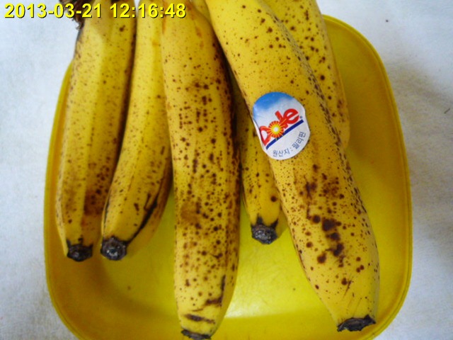 P1010304