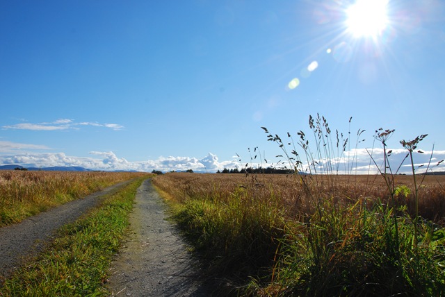 [DSC_5248%255B4%255D.jpg]