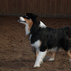 jan-feb 2010 115.JPG