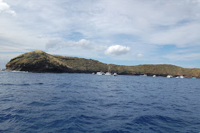 DSC_0850.JPG