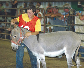 Trying to control donkey 3x.jpg