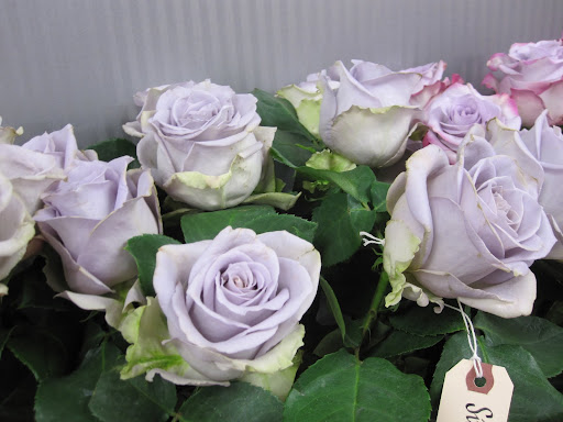 These roses -- 