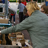 IMGP0166.JPG