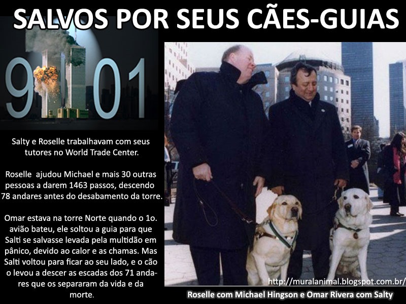 [caes-guias-911%255B3%255D.jpg]