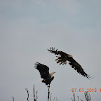 DSCN9663.JPG