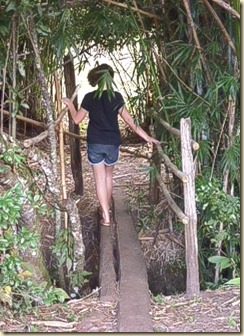 IMG_0590 IMG_0590