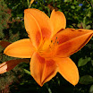 2005-1444.jpg
